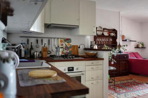 Kuchyň nebo kuchyňský kout v ubytování Apartment Fasano Sopra