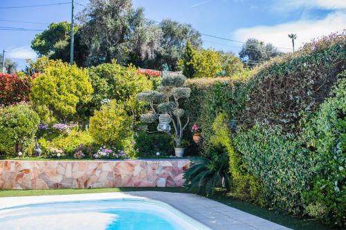 LA CASETTA DEI FIORI VI3078