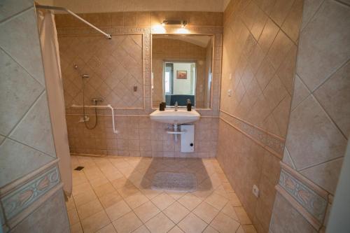 W łazience znajduje się umywalka, prysznic i lustro. w obiekcie Holiday Centrum w mieście Žatec