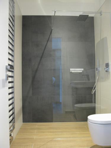 La salle de bains est pourvue d'une douche en verre et de toilettes. dans l'établissement Traumblick Vallendar, à Vallendar