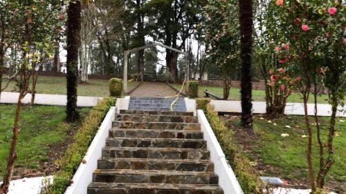 a set of stairs in a park with trees at Albergue Mirador de Pedrouzo in O Pedrouzo