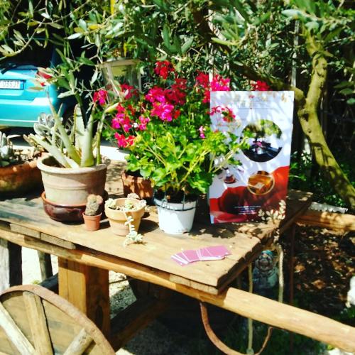 a wooden table with potted plants on it at Petalo Rosso b&b in Lenola