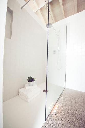a white bathroom with a shower with a plant on it at Centro de Ecoturismo Tierra del Agua in Caleao