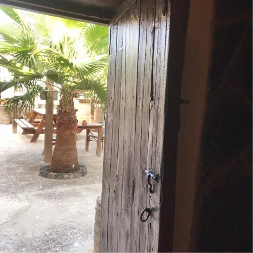an open door with a palm tree in the background at Casa Princess Arminda in Betancuría