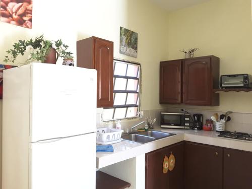 Una cocina o zona de cocina en SXM Spotters Paradise