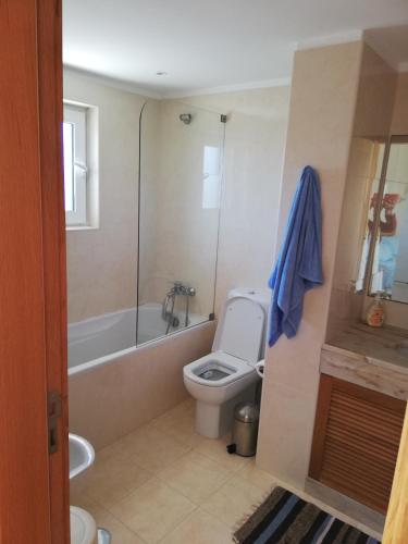 a bathroom with a toilet and a tub and a sink at Moradia São Pedro in Porto Santo