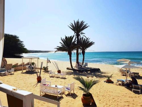 a beach with chairs and palm trees and the ocean at Apart-Hotel Ca Elsa in Sal Rei