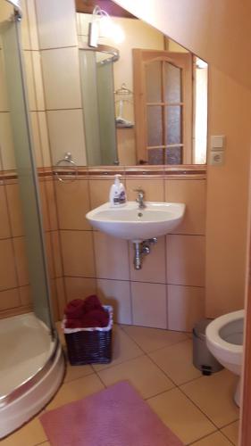 a bathroom with a sink and a toilet and a mirror at Jaun-Ieviņas in Rauna