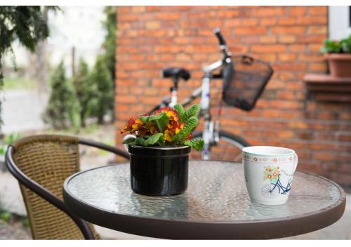 a table with a plant and a coffee cup on it at Gostynin Garden Apartment in Gostynin