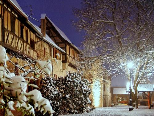 a building with snow covered trees and a street light at Gite Le Mandlé in Riquewihr