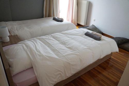 Comfy Apartment With Acropolis View