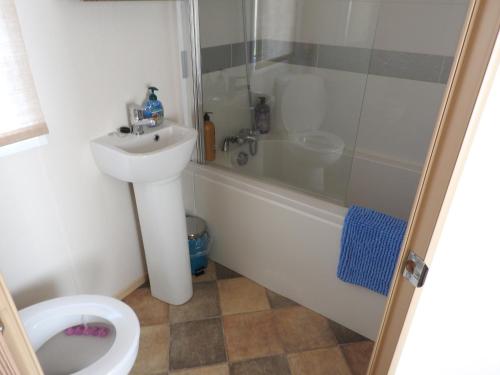 a bathroom with a shower and a sink and a toilet at THE MONARCH LODGE ,Aviemore Holiday Park in Aviemore
