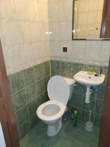 a bathroom with a toilet and a sink at Apartmany Pohořaly in Rokytnice nad Jizerou