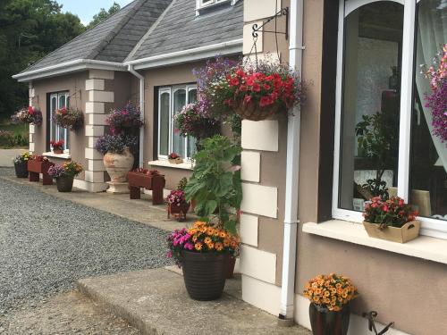 Gallery image of Killurin Lodge in Wexford