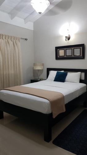 a bedroom with a large bed in a room at Christar Villas Hotel in Kingston