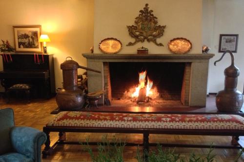 uma sala de estar com lareira em Hotel Urgeirica em Nelas