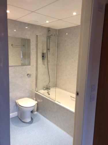 a bathroom with a shower and a toilet and a tub at The Brae Hotel in Brae