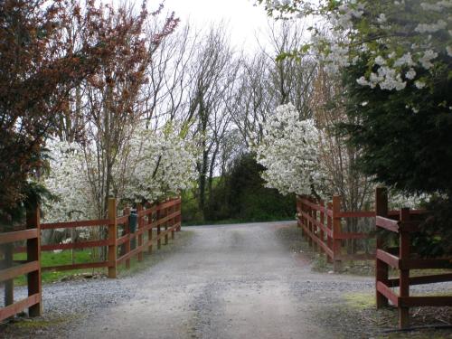 Gallery image of Killurin Lodge in Wexford