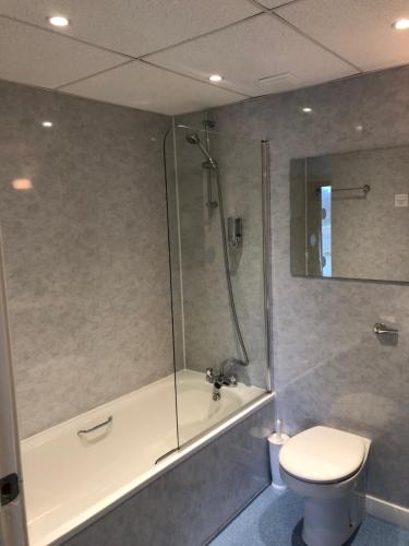 uma casa de banho com um chuveiro, um WC e uma banheira em The Brae Hotel em Brae