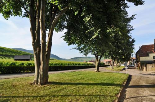a street with trees and green grass and mountains at La Maison Jaune in Ammerschwihr