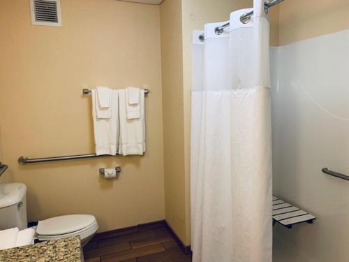 a bathroom with a toilet and a shower curtain at Wingate by Wyndham Elkins in Elkins