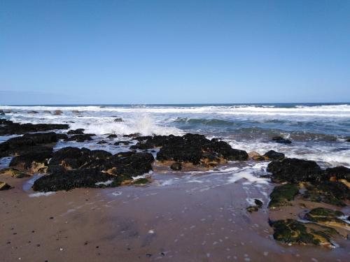 Deerness, 4star gold award 2024, Whitby photo 21