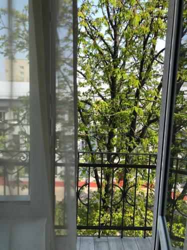 Blick von der Ferienwohnung aus