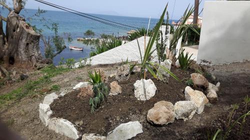 Φωτογραφία από το άλμπουμ του George's Sea View Apartments στη Μεσογγή