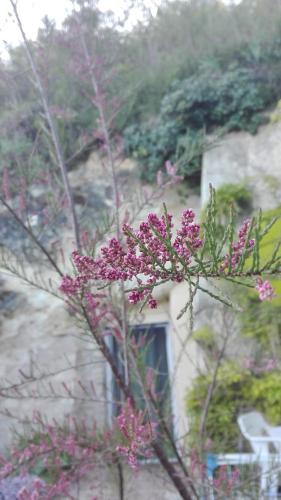 Φυσικό τοπίο κοντά σε αυτή η παραθεριστική κατοικία