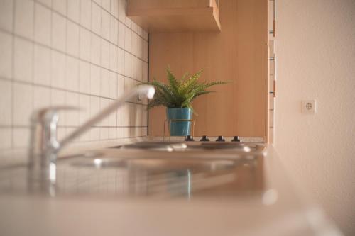 Apartman Čvorak