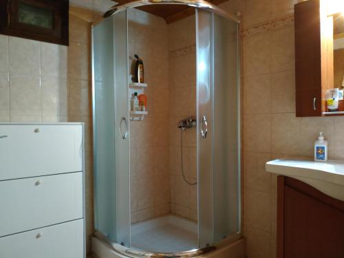 a shower with a glass door in a bathroom at Loutra Mountain Nature in Aridaia