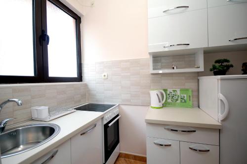 A kitchen or kitchenette at Apartments Radosavovic