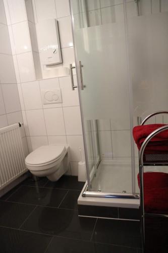 コーバン・ゴンドルフにあるWinzerhäuschen am Brunnenのトイレとシャワー付きの白いバスルーム