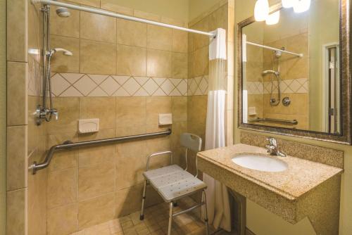 een badkamer met een wastafel en een douche bij La Quinta by Wyndham Brandon Jackson Airport E in Brandon