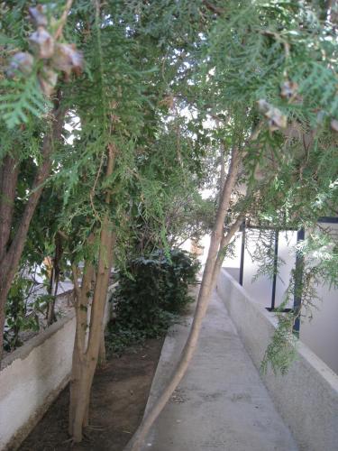 Gallery image of Pericles Studios in Agia Marina Aegina