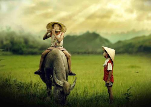 Ein Bild einer Frau, die auf dem Rücken eines Elefanten reitet. in der Unterkunft Hang Mua Happiness Homestay in Ninh Bình