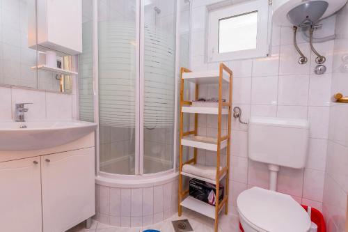 ein Badezimmer mit Dusche, Toilette und Waschbecken in der Unterkunft Apartments Ive i Maja in Ražanj
