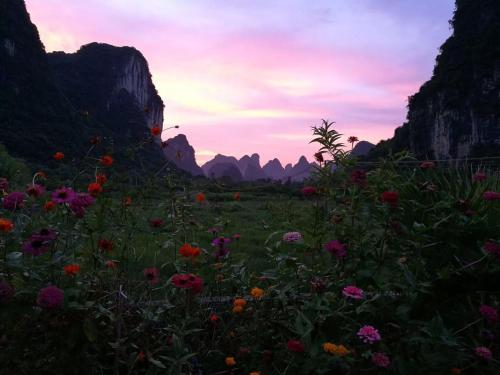 un campo de flores en las montañas al atardecer en Pure Joy Resort, en Yangshuo