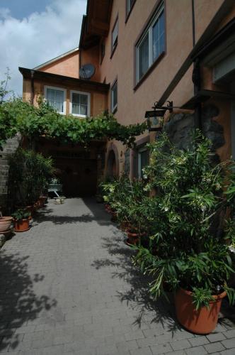 a courtyard with potted plants in front of a building at Weinhotel / Gasthaus zur Sonne in Ihringen