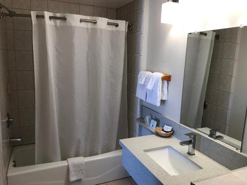 Un baño con cortina de ducha y lavabo. en Manhattan Inn & Suites, en Manhattan Beach