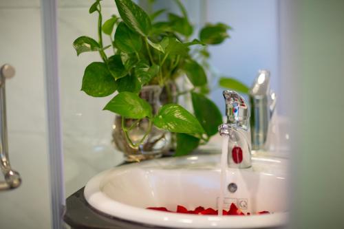 a bathroom sink with a potted plant on it at Hanoi Amber Hotel in Hanoi