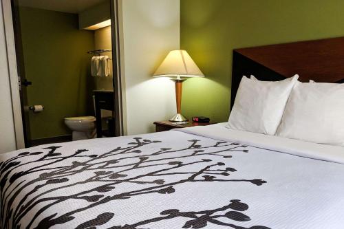 Кровать или кровати в номере Sleep Inn Woodbridge - Potomac Mills
