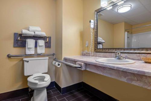 a bathroom with a sink and a toilet and a mirror at Econo Lodge Lexington Southeast in Lexington