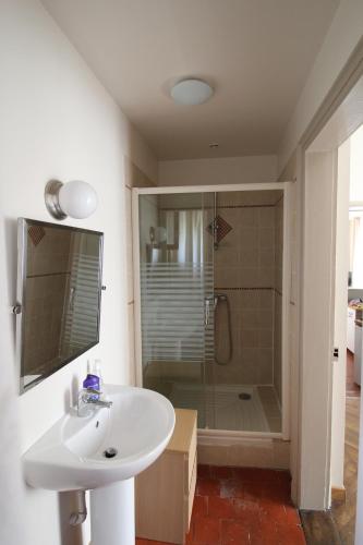 a bathroom with a sink and a shower at Wheel River in L'Isle-sur-la-Sorgue