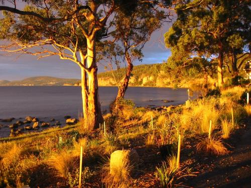 Fotografie z fotogalerie ubytování Beachside Taroona with Spa v destinaci Sandy Bay