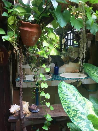 Taman di luar Shanti Lodge