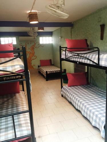 Katil atau katil-katil dalam bilik di Shanti Lodge