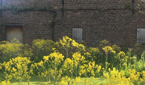 a garden with yellow flowers in front of a brick building at Het Zwaantje in Londerzeel