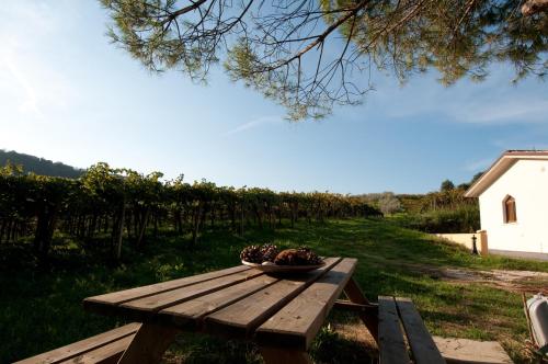 Casa dell'Orto – Photos 5