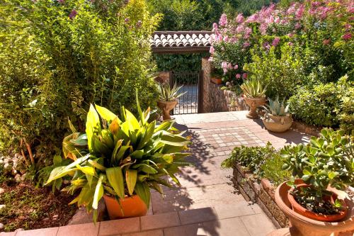 a garden with lots of potted plants and flowers at B&B Villa Gloriana in Sona
